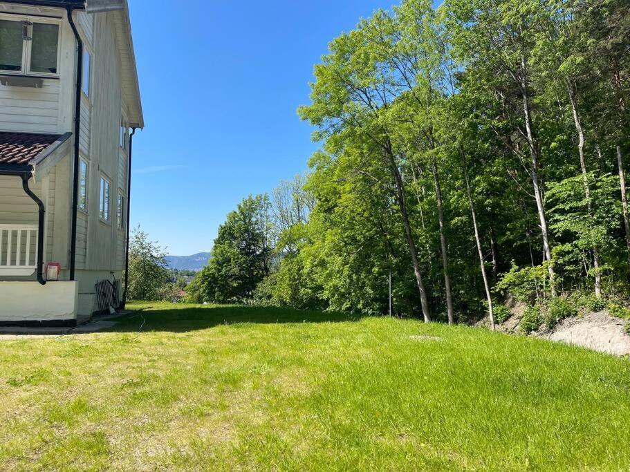 Fin Sentralt Hybel I Drammen Daire Dış mekan fotoğraf