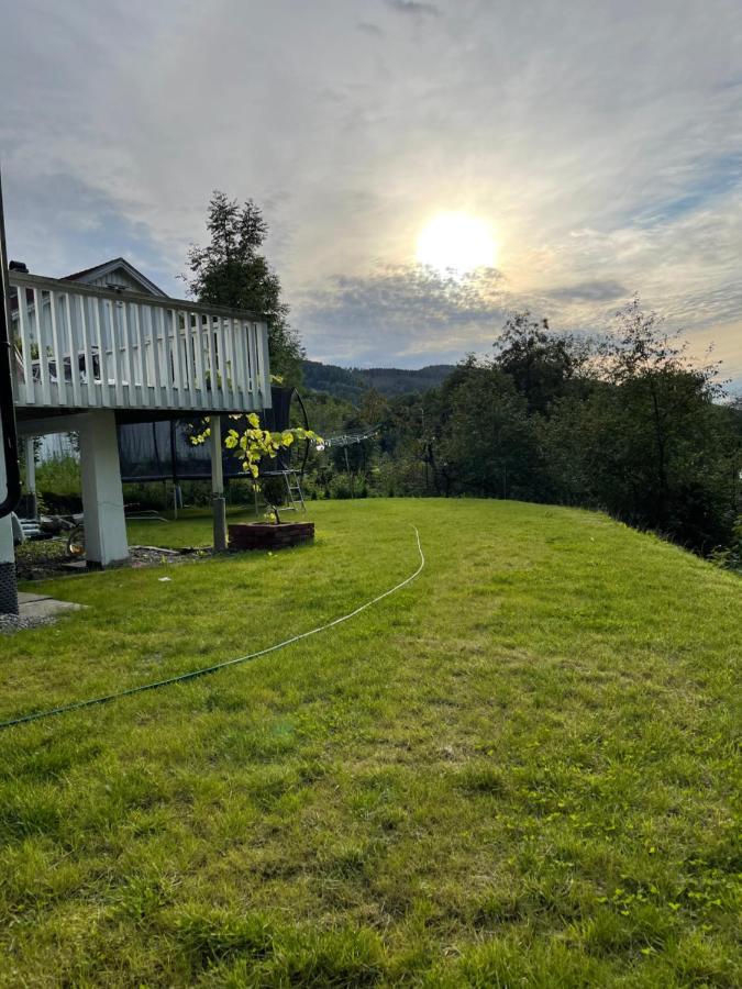 Fin Sentralt Hybel I Drammen Daire Dış mekan fotoğraf