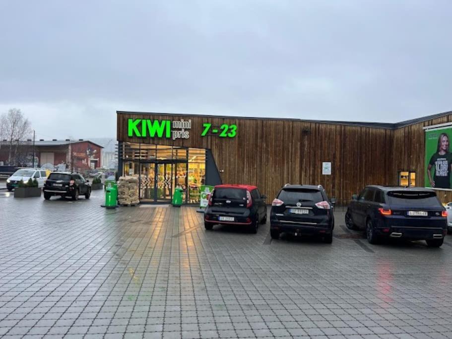 Fin Sentralt Hybel I Drammen Daire Dış mekan fotoğraf