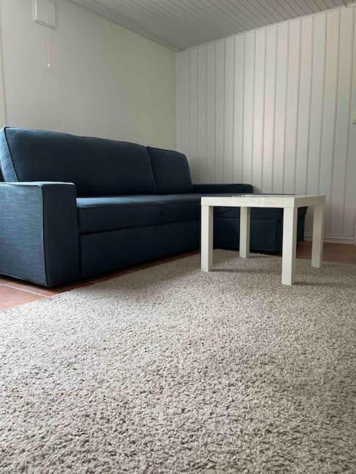 Fin Sentralt Hybel I Drammen Daire Dış mekan fotoğraf
